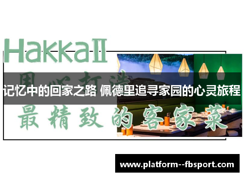 记忆中的回家之路 佩德里追寻家园的心灵旅程