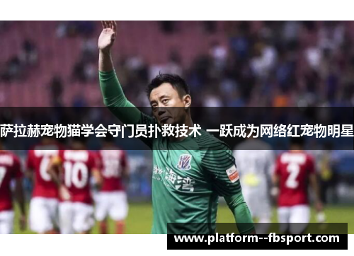 萨拉赫宠物猫学会守门员扑救技术 一跃成为网络红宠物明星